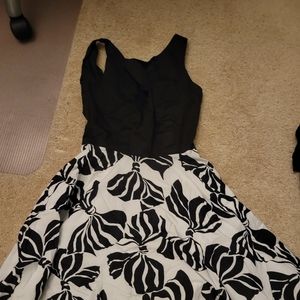 Trashy diva zebra bows